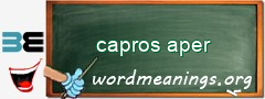 WordMeaning blackboard for capros aper